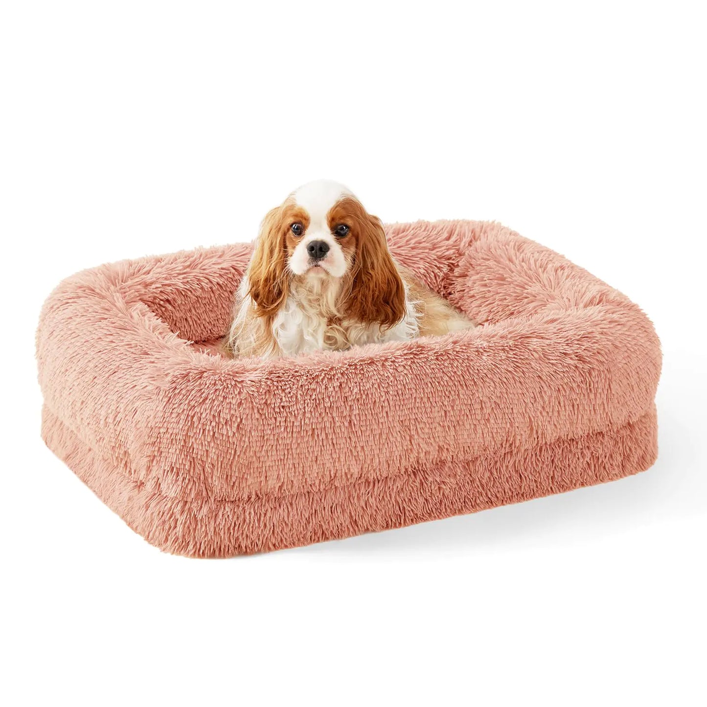 ZOMISIA Orthopedic Dog Bed for Medium Size Dog