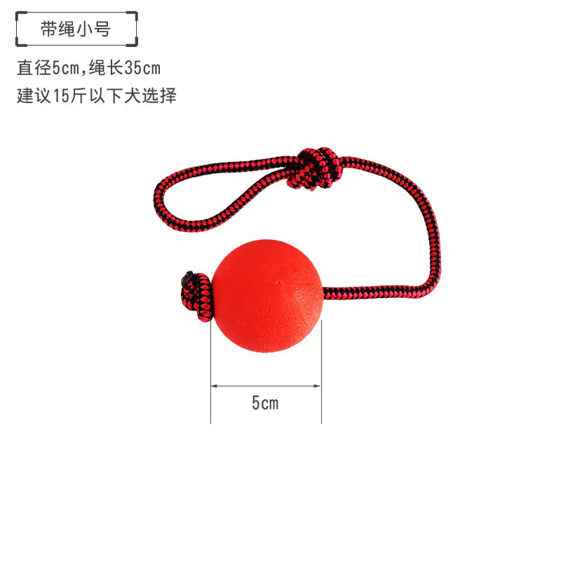 Durable Chew Ball Toy for Dogs - Training & Fun
