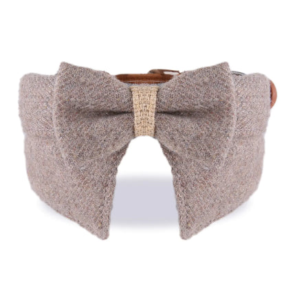 Thick Pet Collar with Big Bow Tie for Cats & Dogs