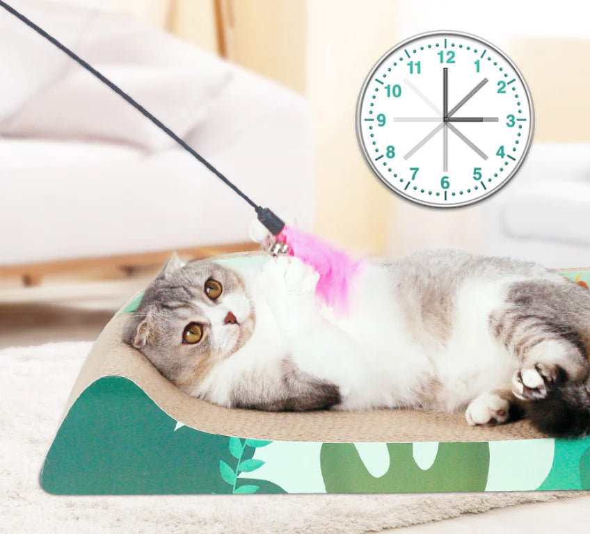 Cat Scratching Board and Corrugated Cat House