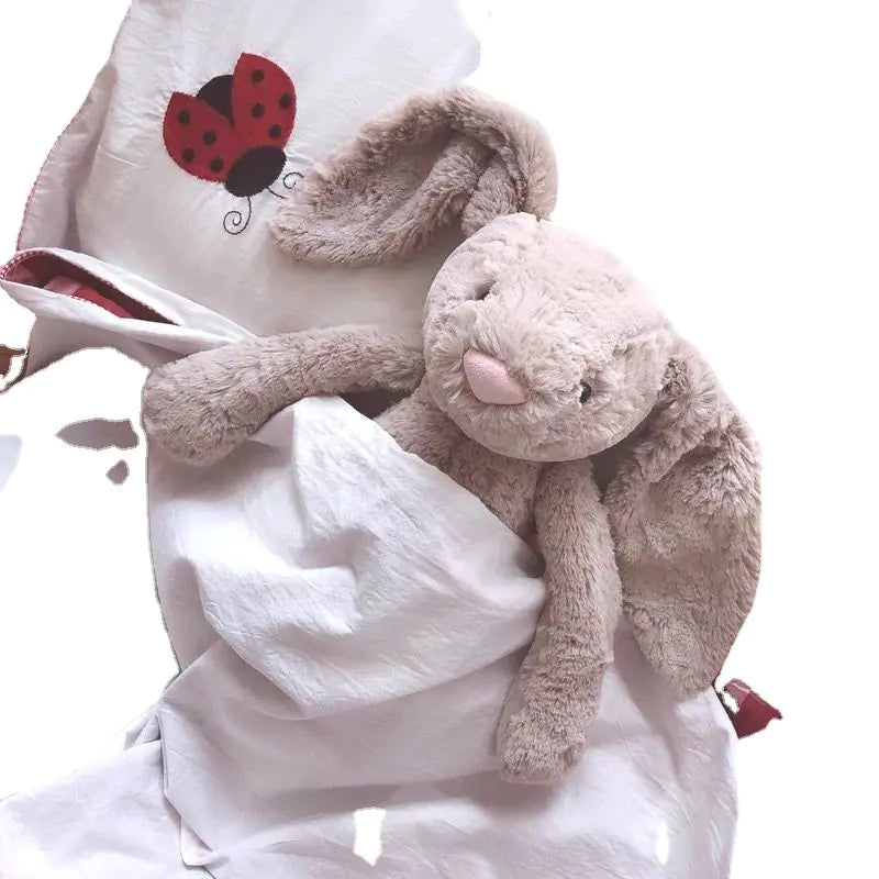 Wholesale Rabbit Plush Toy - Cute Ins Style Gift