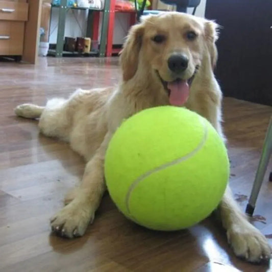 Giant Inflatable Tennis Ball for Pets - 9.5 Inch Chew Toy